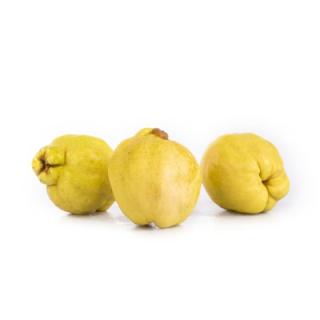 Quitten