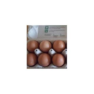 Eier (6 St.)