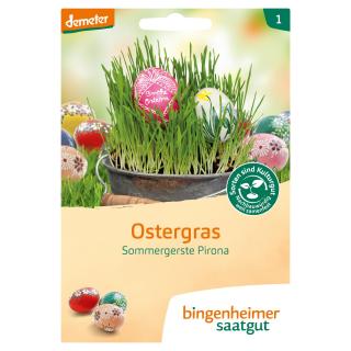 Ostergras Samentüte