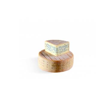 Friesisch Blue