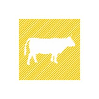 Rind Tafelspitz 1 kg