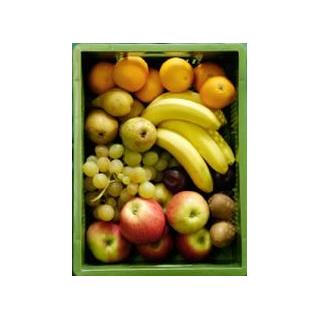 Obstgarten 5