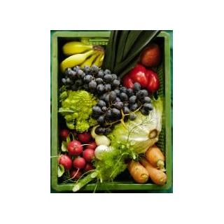 Kleinkind Obst&Gemüse